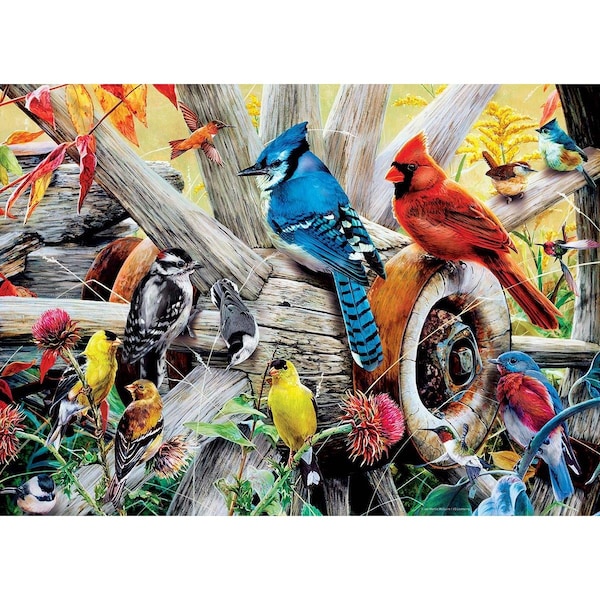 Audubon Audubon 31978 Audubon Backyard Birds Puzzle - 1000 Piece 31978 - main